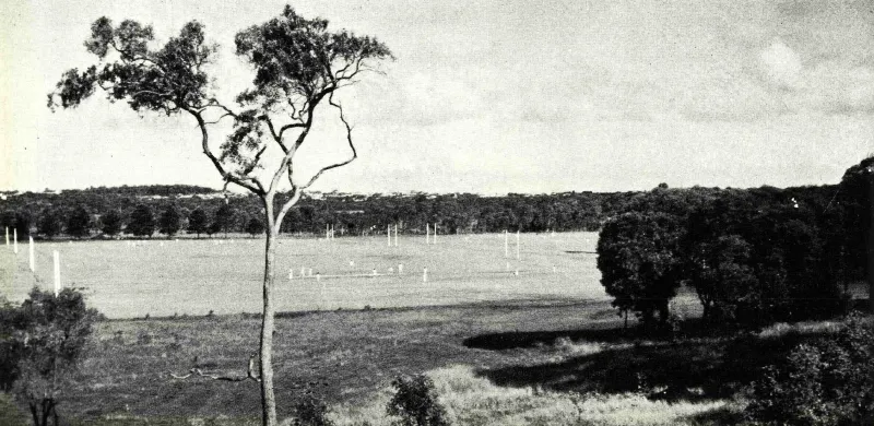 1951